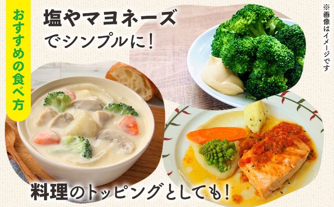 【先行受付】食べ比べセット ブロッコリー カリフラワー ロマネスコ 全3種 - やさい 詰め合わせ 詰合せ 簡単料理 朝採れ 新鮮 無農薬 産地直送 旬彩ファームやまさき sy-0007