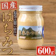 国産 はちみつ (600g) ハチミツ 蜂蜜 ロイヤルゼリー 調味料 スイーツ 多賀さん採蜜 大分県 佐伯市【AY66】【(公財)さいき農林公社】