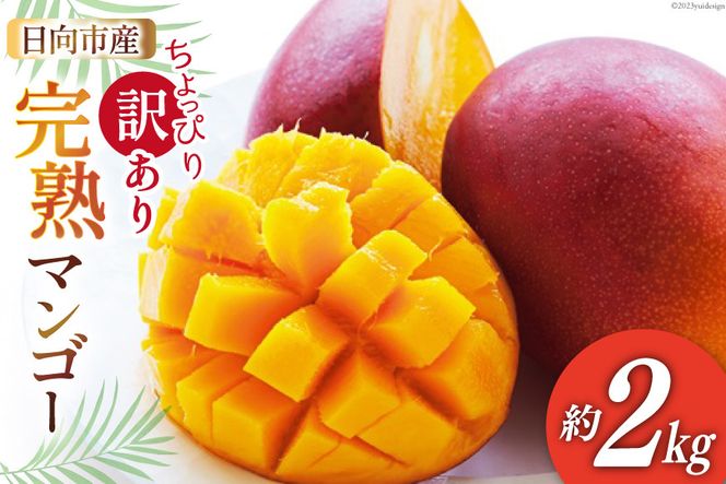 y{茧szy2026NĔz 󂠂 { n }S[  2kg [{茧_Ƌgn{i̔ہj {茧 s 452060660] ʕ t[c KiO ƒp n}S[ Â  Ԍ ①