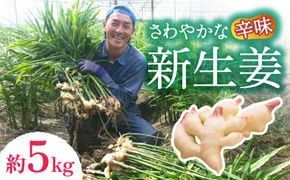 【2026年8月～発送】新生姜 約5kg / ショウガ しょうが 生姜 / 南島原市 / ふくはちファーム [SBS019]