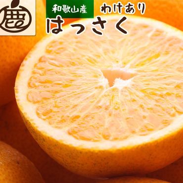 ＜1月より発送＞家庭用はっさく9kg+270g（傷み補償分）【八朔みかん・ハッサク】【わけあり・訳あり】    CZ90003