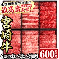 ＜宮崎牛・3D冷凍＞6部位食べ比べ焼肉(合計600g)牛肉 肉 ロース バラ モモ ヒレ ウデ セット 黒毛和牛 BBQ 国産 冷凍 宮崎県 門川町【R-27】【株式会社ミヤチク】