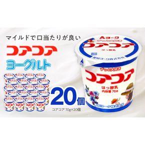 愛知ヨーク　コアコアヨーグルト　20個入　ヨーグルト デザート 健康 給食 保育園 幼稚園 小学校 中学校 支援学校 病院 高齢者施設 ［108A01］