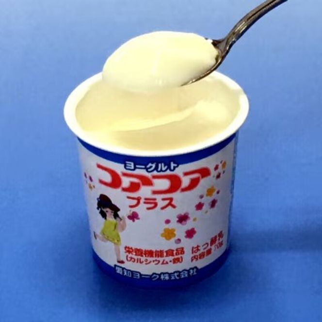 【6ヶ月定期便】愛知ヨーク　コアコアプラスヨーグルト　20個入［108A12-T］ヨーグルト コアコアプラスヨーグルト 20個入 愛知ヨーク定期便 カルシウム 鉄分 カップヨーグルト 朝食 スイーツ