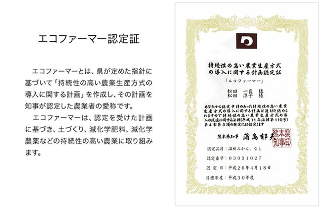 【先行予約】秋 旬 梨 期間限定 【日付指定不可】梨 『松田農園』の くまもと 梨 たっぷり 約2kg 5-7玉前後 予約 受付中 熊本県玉名郡玉東町『松田農園』なし 果物 スイーツ フルーツ デザート スムージー 《7月下旬-9月末頃出荷》 SDG`s---sg_cmtdnasi_cf79_26_10000_2kg---