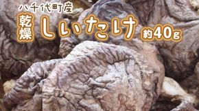 八千代町産 乾燥 しいたけ 約40g 椎茸 シイタケ きのこ キノコ 乾燥 ふるさと納税 6000円 茨城県 八千代町 [CW004ya]