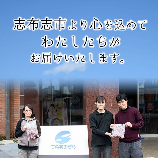 鹿児島県産いちご！愛情たっぷりさがほのか 計1kg(250g×4パック) a5-067