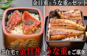 金目鯛照焼きと厳選うなぎの蒲焼きセット　hn094