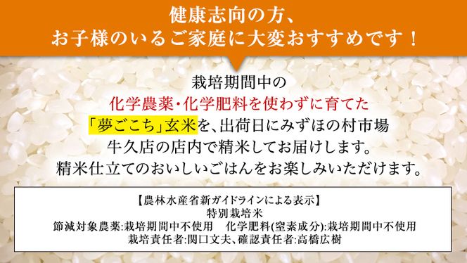 《 特別栽培米 》 令和6年産 精米日出荷 関口さんの「 夢ごこち 」 4.5kg ( 玄米時 5kg ) 新鮮 精米 米 こめ コメ 特別栽培農産物 認定米 新米 [AM083us]