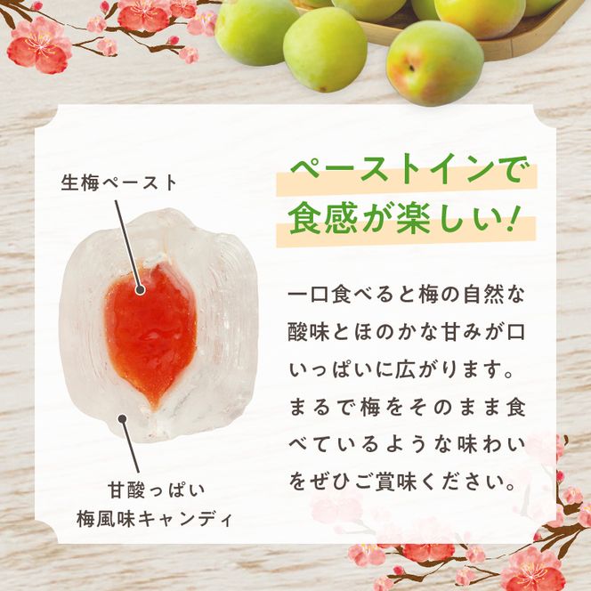 生梅飴［109R02］（愛知県小牧市） | ふるさと納税サイト