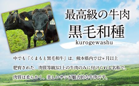 くまもと黒毛和牛 焼肉用 500g 1000g《90日以内に出荷予定(土日祝除く)》 南阿蘇食品---sms_fkmkgyk_90d_23_20000_500g---