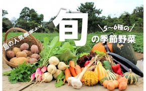 季節の野菜詰め合わせ（5～6種）！農薬不使用だから安心安全！