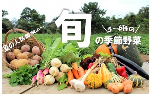 季節の野菜詰め合わせ（5～6種）！農薬不使用だから安心安全！