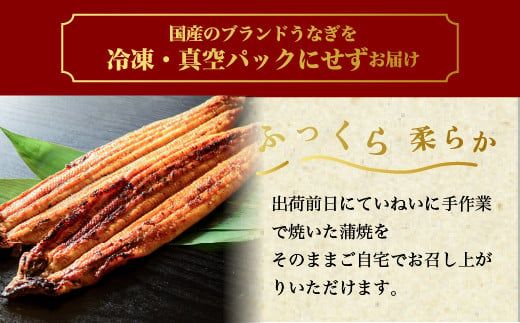 特撰 国産うなぎの蒲焼き4尾【最短3日発送】国産のブランド鰻を茨城県土浦市の職人が手間を惜しまず一つ一つ丁寧に作り上げた美味しい蒲焼きをぜひご賞味ください！ ※離島への配送不可