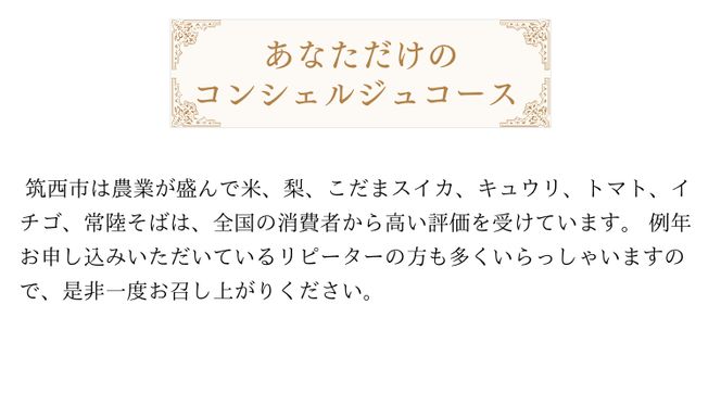 筑西市厳選！ とっておきのお礼の品  あなただけの コンシェルジュ 50万円 コース オーダーメイド サービス [ZZ020ci]