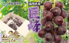 【2026年収穫分 先行予約】【JAむなかたより】巨峰1.2kg【JAほたるの里】_HA1476