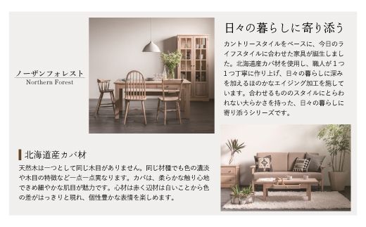 ノーザンフォレストセンターテーブルNC119T【0809801】