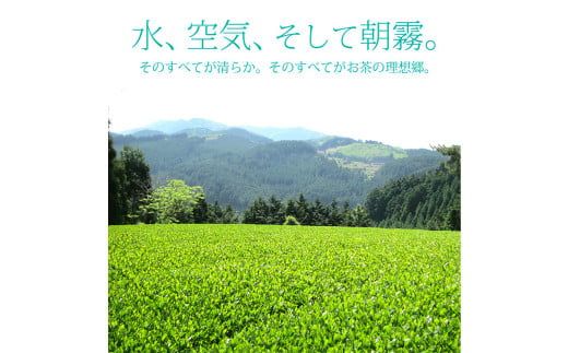 奥八女星野村 深蒸し高級煎茶 深蒸し茶 約100g×1袋 煎茶 お茶 緑茶 茶葉 深むし茶 八女茶 飲料