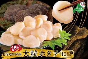 【訳あり/サイズ不揃い】ホタテ 大粒 40粒前後(約1kg) 旨さ 際立つ ！ 野付産 ほたて【NK000NP00】