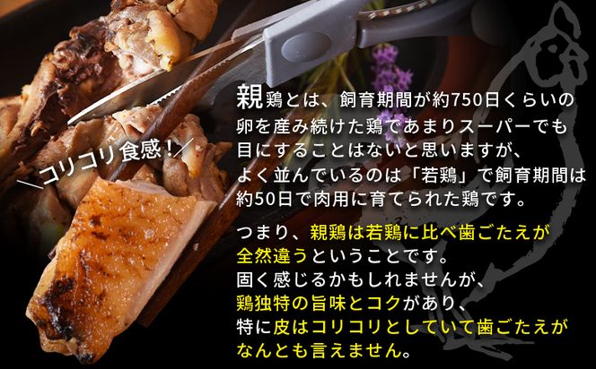 ＜宮崎名物 七輪手焼き 親鶏の骨付きもも2本入り（360g以上）×2袋＞準備でき次第翌々月までに順次発送【 国産 鶏 鶏肉 手焼き もも肉 モモ モモ肉 チキンレッグ おかず おつまみ 骨付き 骨付き肉 焼き鳥 簡単調理 時短 惣菜 加工肉 】【b0768_hi】