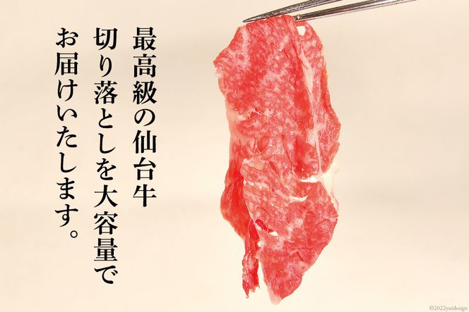 【仙台牛 A-5ランク】 切り落とし 400g ×3p 計1,2kg [気仙沼市物産振興協会 宮城県 気仙沼市 20565275] 肉 精肉 ブランド牛 切落し 小分け A5 A5ランク 冷凍
