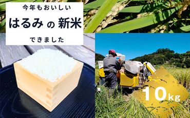 159-2023-05　 【R6年新米10kg】湘南生まれのお米「はるみ」＜出荷時期：2024年9月16日出荷開始～2024年12月27日出荷終了＞【 神奈川県 大磯町 コシヒカリ キヌヒカリ 交配種 新米 前日精米 特別栽培米 甘み 期間限定】