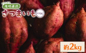 【８月発送開始】さつまいも（土佐紅）2kg  サツマイモ さつま芋 野菜 焼き芋 やきいも 焼いも おやつ yr-0143