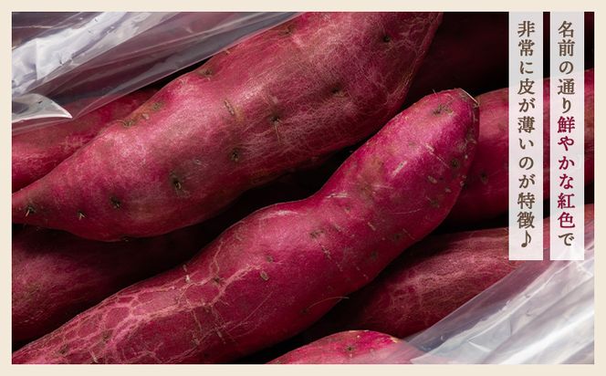 【８月発送開始】さつまいも（土佐紅）5kg - サツマイモ さつま芋 野菜 焼き芋 やきいも 焼いも おやつ スイーツ スイートポテト バター焼き アレンジ 料理 国産 高知県 香南市 yr-0045