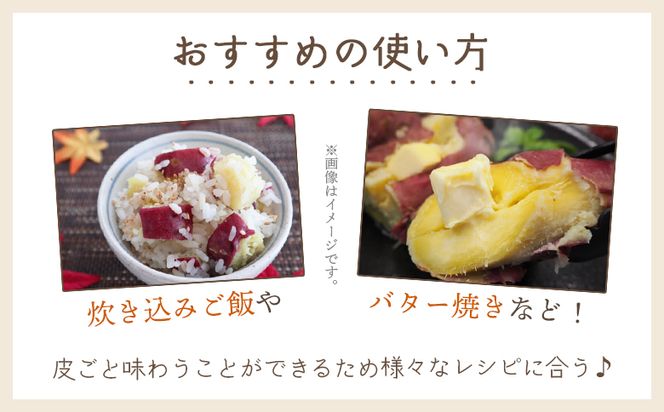 【８月発送開始】さつまいも（土佐紅）4kg - サツマイモ さつま芋 野菜 焼き芋 やきいも 焼いも おやつ スイーツ スイートポテト バター焼き アレンジ 料理 国産 高知県 香南市 yr-0044