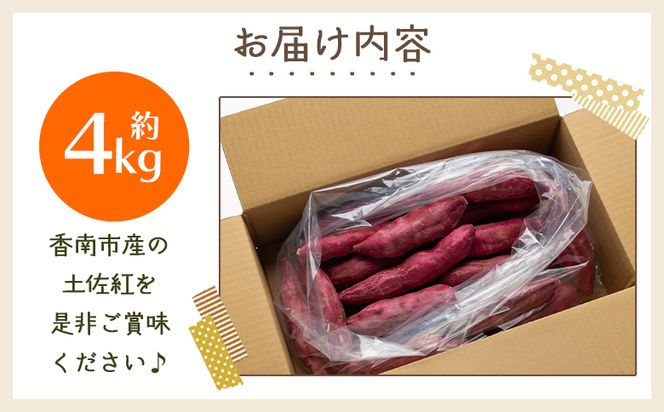 【８月発送開始】さつまいも（土佐紅）4kg - サツマイモ さつま芋 野菜 焼き芋 やきいも 焼いも おやつ スイーツ スイートポテト バター焼き アレンジ 料理 国産 高知県 香南市 yr-0044