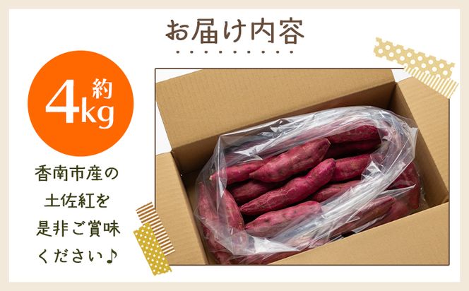 さつまいも（土佐紅）4kg - サツマイモ さつま芋 野菜 焼き芋 やきいも 焼いも おやつ スイーツ スイートポテト バター焼き アレンジ 料理 国産 高知県 香南市 yr-0044