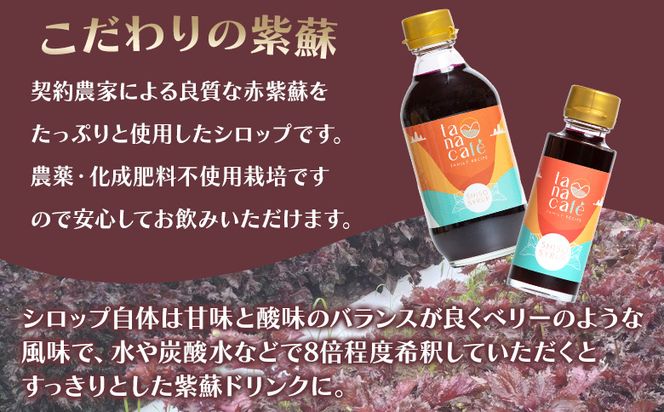 赤しそシロップ(農薬不使用) 300ml×6本 濃い！赤しそジュース お得