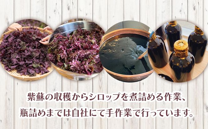 赤紫蘇シロップ(赤しそシロップ) 1本 300ml - シソ 赤しそ ジュース 飲料 ドリンク ソーダ割り カクテル スイーツ 濃縮 原液 希釈 農薬不使用 化学肥料不使用 tc-0007