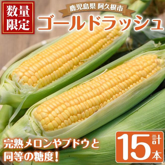 ＜先行予約受付中！2026年5月下旬以降順次発送予定＞厳選摘果！とうもろこし(15本・品種・ゴールドラッシュ) 国産 旬 野菜 青果 トウモロコシ 厳選 高糖度 冷蔵 期間限定 数量限定 【春田幸一】akn082-01