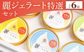 添加物不使用 麗ジェラート 特選 6個 セット - アイスクリーム デザート スイーツ お菓子 洋菓子 詰合せ 詰め合わせ アソート フレーバー ギフト 贈り物 添加物不使用 ドルチェかがみ 高知県 