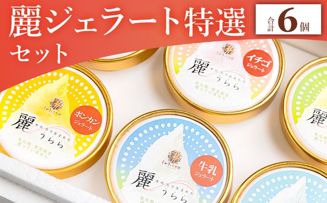 添加物不使用 麗ジェラート 特選 6個 セット - アイスクリーム デザート スイーツ お菓子 洋菓子 詰合せ 詰め合わせ アソート フレーバー ギフト 贈り物 添加物不使用 ドルチェかがみ 高知県 