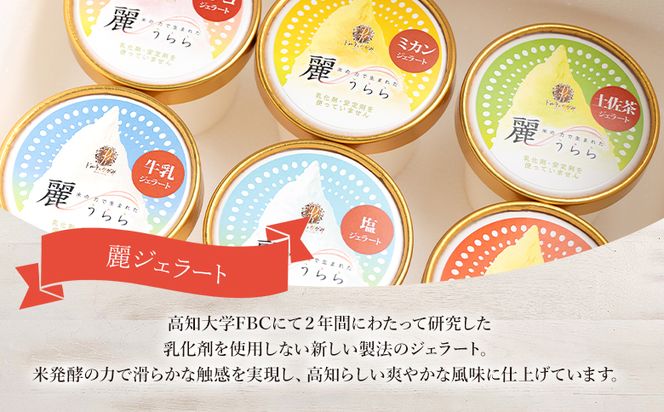 添加物不使用 麗ジェラート 特選 6個 セット - アイスクリーム デザート スイーツ お菓子 洋菓子 詰合せ 詰め合わせ アソート フレーバー ギフト 贈り物 添加物不使用 ドルチェかがみ 高知県 