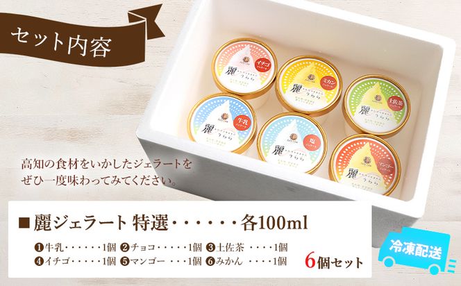添加物不使用 麗ジェラート 特選 6個 セット - アイスクリーム デザート スイーツ お菓子 洋菓子 詰合せ 詰め合わせ アソート フレーバー ギフト 贈り物 添加物不使用 ドルチェかがみ 高知県 