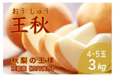 【先行予約／数量限定30】秋の王様 王秋 3kg（4～5玉）（2024年11月上旬～発送）　国産 なし ナシ 梨 2024フルーツ ふるーつ 果物 くだもの 農家応援 生産者応援 WR00002