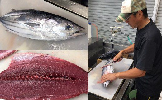 【四国一小さなまち】≪ヤマシン≫わら焼き土佐の鰹タタキ２節 ★6ヶ月★定期便 土佐料理 藁焼きたたき カツオ 鰹 初鰹 下り鰹 海鮮 魚 薬味セット 旬 カツオ 1節約300g～400g 冷蔵配送 定期便