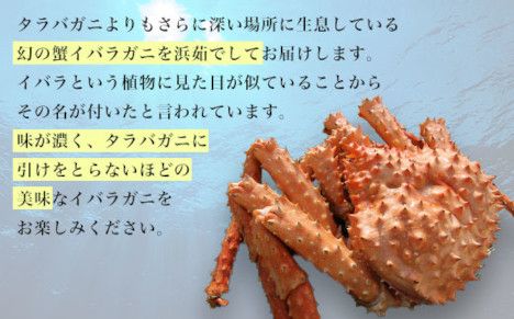 オホーツク産 幻の蟹 イバラガニ 1.8～2.0kg SRMN011
