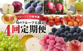 【ニトリ観光果樹園が贈るフルーツ王国定期便！】豪華！！旬のフルーツ4回発送コース_Y074-0016