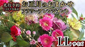 【 お正月 の お花 】 お花 おまかせ ＊ フラワー アレンジメント LL お正月 花 生花 縁起物 フラワーアレンジメント ギフト [CT054ci]