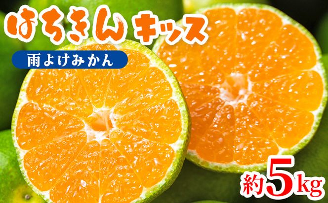 はちきんキッス(雨よけみかん) 5kg 秀品 - 果物 フルーツ ごくわせ 極早生みかん 期間限定 柑橘類 ミカン 山北みかん おすそ分け おいしい みずみずしい ビタミンC 程よい酸味 小さなお子様