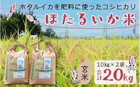 【訳あり】ほたるいか米（玄米20kg）【通年発送】