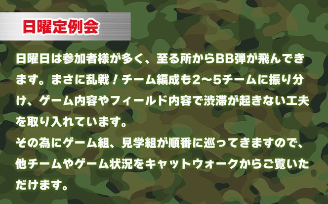 サバイバルゲーム 日曜定例会 チケット 高知フロンティアベース- サバゲー 体験チケット 券 レクチャー レンタル銃 ゴーグル BB弾 エアガン ガスガン 電動ガン lo-0003