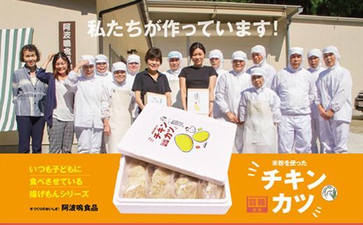 【CF】【米粉使用】いつもの食卓にヘルシーなチキンカツ　※離島不可《30日以内に出荷予定(土日祝除く)》---sanagouchi_ans_30_20p---