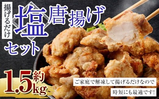 y{茧S璬zg Zbg 1.5kgɏoׁyc1290_naz 300g×5pbN g 炠 g {̂g  {