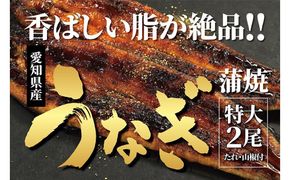 ＜着日指定必須＞【特大・国産うなぎ・蒲焼２尾】養鰻場を知るこだわり大将の絶品うなぎ 232238_CN001-PR