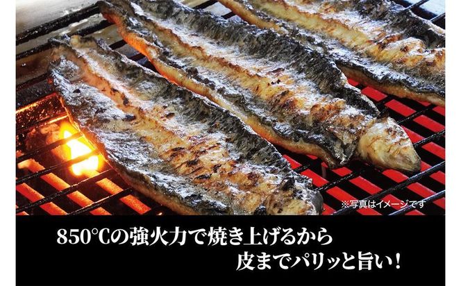 ＜着日指定必須＞【特大・国産うなぎ・蒲焼２尾】養鰻場を知るこだわり大将の絶品うなぎ 232238_CN001-PR